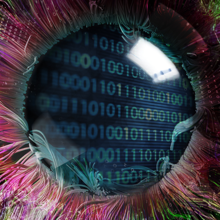 Crytica-Pupil-BinanryCode