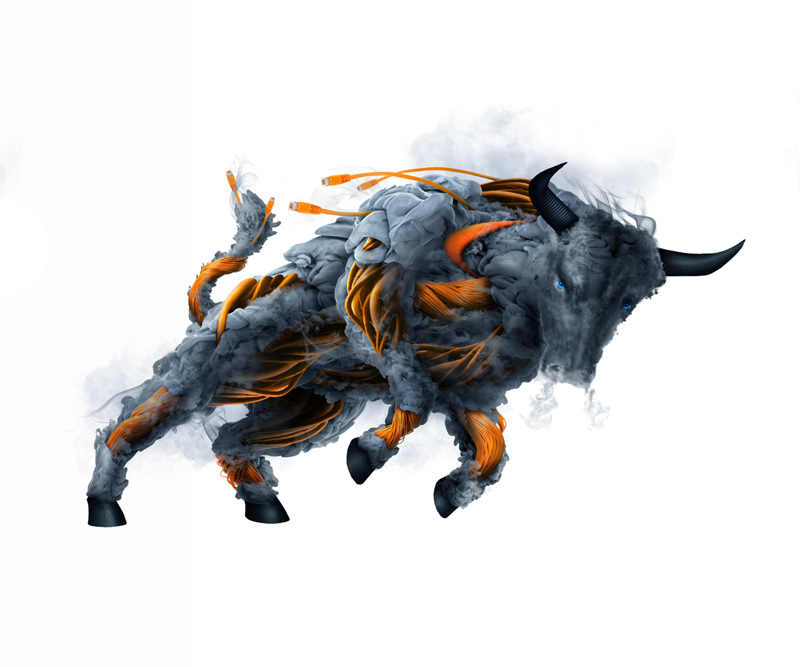 SonicWall-Scroll-Bull