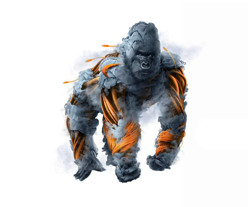 SonicWall-Scroll-Gorilla